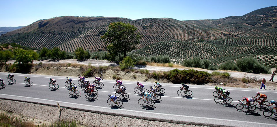 Degenkolb wins Tour of Spain fifth stage, Matthews leads