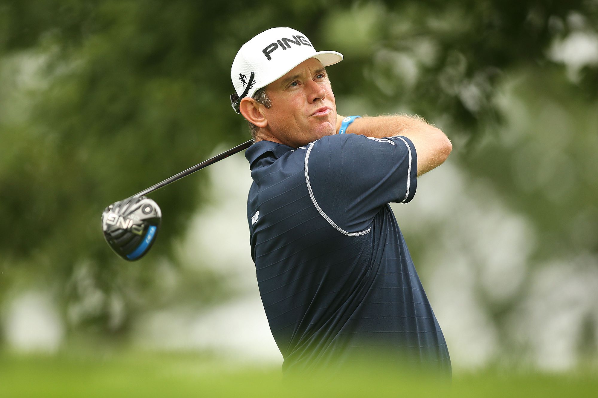 lee-westwood