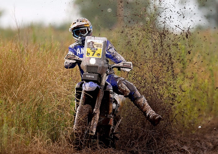 Helder Rodrigues