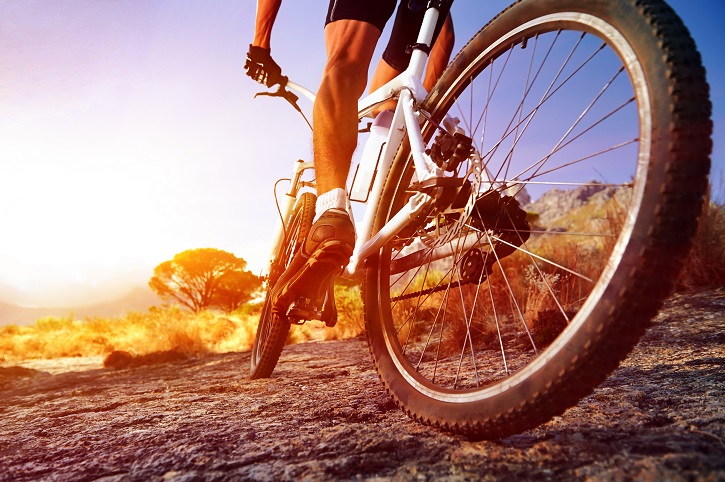 low angle view of cyclist riding mountain bike on rocky trail at