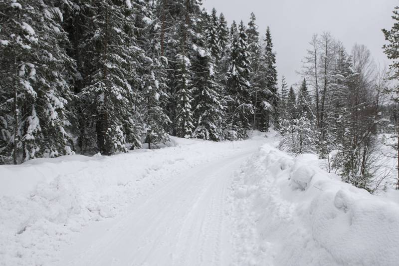 Flying Finn Jari-Matti Latvala targets fifth Swedish win in the snow