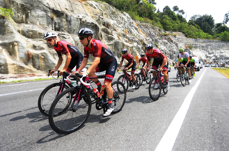 Pelumba rasai bahang awal LTDL 2018